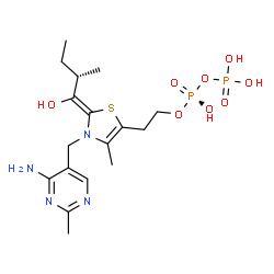 ChemSpider 2D Image | 2-{(2E)-3-[(4-Amino-2-methyl-5-pyrimidinyl)methyl]-2-[(2S)-1-hydroxy-2-methylbutylidene]-4-methyl-2,3-dihydro-1,3-thiazol-5-yl}ethyl trihydrogen diphosphate | C17H28N4O8P2S