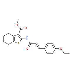 ChemSpider 2D Image | Methyl 2-{[(2E)-3-(4-ethoxyphenyl)-2-propenoyl]amino}-4,5,6,7-tetrahydro-1-benzothiophene-3-carboxylate | C21H23NO4S