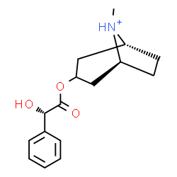 ChemSpider 2D Image | (1R,5S)-3-{[(2S)-2-Hydroxy-2-phenylacetyl]oxy}-8-methyl-8-azoniabicyclo[3.2.1]octane | C16H22NO3