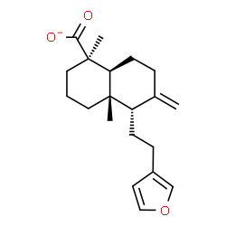 ChemSpider 2D Image | (1R,4aS,5S,8aS)-5-[2-(3-Furyl)ethyl]-1,4a-dimethyl-6-methylenedecahydro-1-naphthalenecarboxylate | C20H27O3