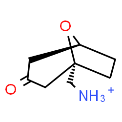ChemSpider 2D Image | [(1S,5S)-3-Oxo-8-oxabicyclo[3.2.1]oct-1-yl]methanaminium | C8H14NO2