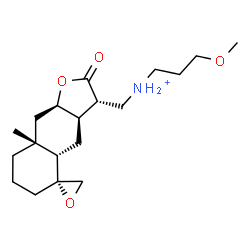 ChemSpider 2D Image | 3-Methoxy-N-{[(3S,3aR,4aS,5R,8aR,9aR)-8a-methyl-2-oxodecahydro-2H-spiro[naphtho[2,3-b]furan-5,2'-oxiran]-3-yl]methyl}-1-propanaminium | C19H32NO4