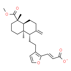 ChemSpider 2D Image | (2E)-3-(3-{2-[(1S,4aS,5S,8aR)-5-(Methoxycarbonyl)-5,8a-dimethyl-2-methylenedecahydro-1-naphthalenyl]ethyl}-2-furyl)acrylate | C24H31O5