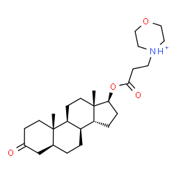 ChemSpider 2D Image | (5alpha,8alpha,14beta,17beta)-17-{[3-(Morpholin-4-ium-4-yl)propanoyl]oxy}-3-oxoandrostane | C26H42NO4