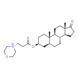 ChemSpider 2D Image | (3beta,5alpha)-3-{[3-(Morpholin-4-ium-4-yl)propanoyl]oxy}-17-oxoandrostane | C26H42NO4