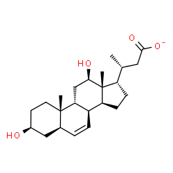 ChemSpider 2D Image | (3R)-3-[(3S,5R,8S,9R,10S,12R,13R,14S,17S)-3,12-Dihydroxy-10,13-dimethyl-2,3,4,5,8,9,10,11,12,13,14,15,16,17-tetradecahydro-1H-cyclopenta[a]phenanthren-17-yl]butanoate | C23H35O4