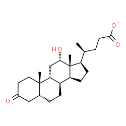 ChemSpider 2D Image | (5beta,8alpha,9beta,12alpha,20S)-12-Hydroxy-3-oxocholan-24-oate | C24H37O4