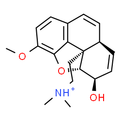 ChemSpider 2D Image | 2-[(3R,3aR,9aS,9bR)-3-Hydroxy-5-methoxy-3,9a-dihydrophenanthro[4,5-bcd]furan-9b(3aH)-yl]-N,N-dimethylethanaminium | C19H24NO3