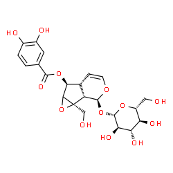 ChemSpider 2D Image | (1aS,1bS,2S,5aR,6S)-2-(beta-D-Glucopyranosyloxy)-1a-(hydroxymethyl)-1a,1b,2,5a,6,6a-hexahydrooxireno[4,5]cyclopenta[1,2-c]pyran-6-yl 3,4-dihydroxybenzoate | C22H26O13