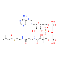 ChemSpider 2D Image | 3-methylbut-3-enoyl-CoA | C26H42N7O17P3S