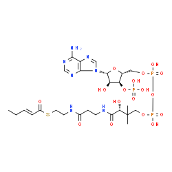 ChemSpider 2D Image | Pent-2-enoyl-CoA | C26H42N7O17P3S