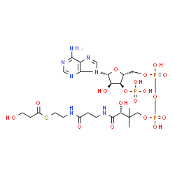 ChemSpider 2D Image | 3-Hydroxypropanoyl-CoA | C24H40N7O18P3S