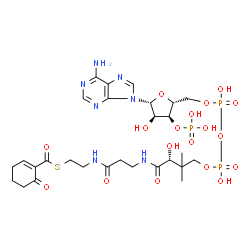 ChemSpider 2D Image | 6-oxocyclohex-1-ene-1-carbonyl-CoA | C28H42N7O18P3S
