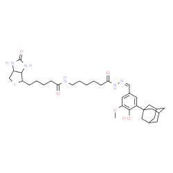 ChemSpider 2D Image | N-(6-{(2Z)-2-[3-(Adamantan-1-yl)-4-hydroxy-5-methoxybenzylidene]hydrazino}-6-oxohexyl)-5-(2-oxohexahydro-1H-thieno[3,4-d]imidazol-4-yl)pentanamide | C34H49N5O5S