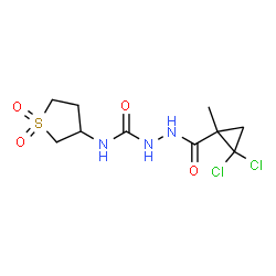 ChemSpider 2D Image | 2-[(2,2-Dichloro-1-methylcyclopropyl)carbonyl]-N-(1,1-dioxidotetrahydro-3-thiophenyl)hydrazinecarboxamide | C10H15Cl2N3O4S