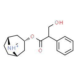 ChemSpider 2D Image | (3-endo,8-syn)-3-[(3-Hydroxy-2-phenylpropanoyl)oxy]-8-methyl-8-azoniabicyclo[3.2.1]octane | C17H24NO3
