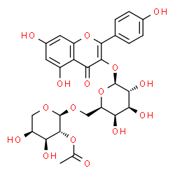 ChemSpider 2D Image | 5,7-Dihydroxy-2-(4-hydroxyphenyl)-4-oxo-4H-chromen-3-yl 6-O-(2-O-acetyl-alpha-L-arabinopyranosyl)-beta-D-galactopyranoside | C28H30O16