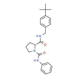 ChemSpider 2D Image | (2R)-N~2~-[4-(2-Methyl-2-propanyl)benzyl]-N~1~-phenyl-1,2-pyrrolidinedicarboxamide | C23H29N3O2