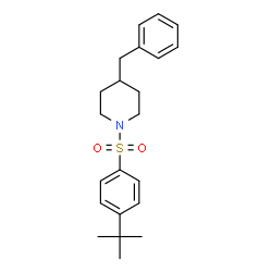 ChemSpider 2D Image | 4-Benzyl-1-{[4-(2-methyl-2-propanyl)phenyl]sulfonyl}piperidine | C22H29NO2S