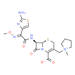 ChemSpider 2D Image | (6S,7R)-7-{[(2E)-2-(2-Amino-1,3-thiazol-4-yl)-2-(methoxyimino)acetyl]amino}-3-[(1-methyl-1-pyrrolidiniumyl)methyl]-8-oxo-5-thia-1-azabicyclo[4.2.0]oct-2-ene-2-carboxylate | C19H24N6O5S2