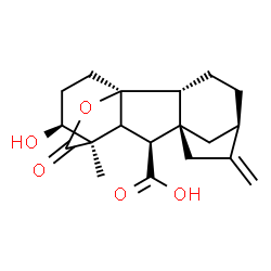 ChemSpider 2D Image | (1S,2R,5R,8R,9S,11R,12S)-12-Hydroxy-11-methyl-6-methylene-16-oxo-15-oxapentacyclo[9.3.2.1~5,8~.0~1,10~.0~2,8~]heptadecane-9-carboxylic acid | C19H24O5