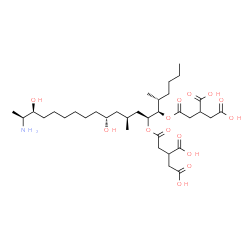 ChemSpider 2D Image | 2,2'-{[(5R,6R,7S,9S,11R,18S,19S)-19-Amino-11,18-dihydroxy-5,9-dimethyl-6,7-icosanediyl]bis[oxy(2-oxo-2,1-ethanediyl)]}disuccinic acid | C34H59NO14