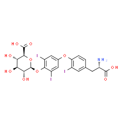 ChemSpider 2D Image | (2S,3S,4S,5R,6S)-6-(4-{4-[(2S)-2-Amino-2-carboxyethyl]-2-iodophenoxy}-2,6-diiodophenoxy)-3,4,5-trihydroxytetrahydro-2H-pyran-2-carboxylic acid (non-preferred name) | C21H20I3NO10