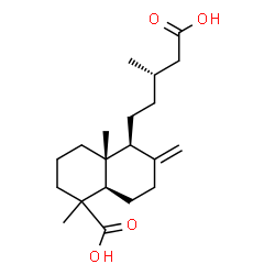 ChemSpider 2D Image | (4aR,5S,8aR)-5-[(3S)-4-Carboxy-3-methylbutyl]-1,4a-dimethyl-6-methylenedecahydro-1-naphthalenecarboxylic acid | C20H32O4
