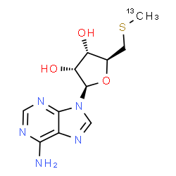 ChemSpider 2D Image | 5'-S-(~13~C)Methyl-5'-thioadenosine | C1013CH15N5O3S