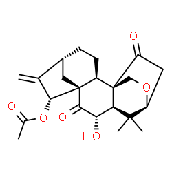 ChemSpider 2D Image | (1S,2S,5R,7R,8S,10S,11R,13S)-10-Hydroxy-12,12-dimethyl-6-methylene-9,16-dioxo-14-oxapentacyclo[11.2.2.1~5,8~.0~1,11~.0~2,8~]octadec-7-yl acetate | C22H28O6