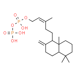 ChemSpider 2D Image | (2Z)-3-Methyl-5-(5,5,8a-trimethyl-2-methylenedecahydro-1-naphthalenyl)-2-penten-1-yl trihydrogen diphosphate | C20H36O7P2