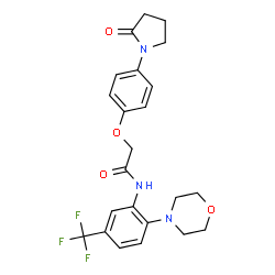 ChemSpider 2D Image | N-[2-(4-Morpholinyl)-5-(trifluoromethyl)phenyl]-2-[4-(2-oxo-1-pyrrolidinyl)phenoxy]acetamide | C23H24F3N3O4