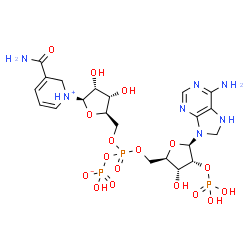 ChemSpider 2D Image | [[(2R,3R,4R,5R)-5-(6-amino-7,8-dihydropurin-9-yl)-3-hydroxy-4-phosphonooxy-tetrahydrofuran-2-yl]methoxy-[[(2R,3S,4R,5R)-5-(3-carbamoyl-1,2-dihydropyridin-1-ium-1-yl)-3,4-dihydroxy-tetrahydrofuran-2-yl]methoxy]phosphoryl] hydrogen phosphate | C21H32N7O17P3