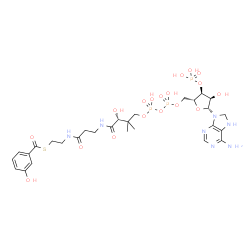ChemSpider 2D Image | S-{(9R)-1-[(2R,3S,4R,5R)-5-(6-Amino-7,8-dihydro-9H-purin-9-yl)-4-hydroxy-3-(phosphonooxy)tetrahydro-2-furanyl]-3,5,9-trihydroxy-8,8-dimethyl-3,5-dioxido-10,14-dioxo-2,4,6-trioxa-11,15-diaza-3lambda~5~
,5lambda~5~-diphosphaheptadecan-17-yl} 3-hydroxybenzenecarbothioate (non-preferred name) | C28H42N7O18P3S
