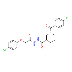 ChemSpider 2D Image | 1-(4-Chlorobenzoyl)-N'-[(4-chloro-3-methylphenoxy)acetyl]-3-piperidinecarbohydrazide | C22H23Cl2N3O4