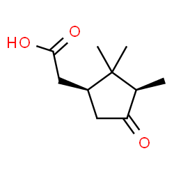 ChemSpider 2D Image | [(1S,3R)-2,2,3-Trimethyl-4-oxocyclopentyl]acetic acid | C10H16O3