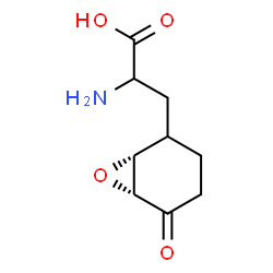 ChemSpider 2D Image | 3-[(1R,6R)-5-Oxo-7-oxabicyclo[4.1.0]hept-2-yl]alanine | C9H13NO4