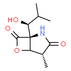 ChemSpider 2D Image | (1S,4R)-1-[(1S)-1-Hydroxy-2-methylpropyl]-4-methyl-6-oxa-2-azabicyclo[3.2.0]heptane-3,7-dione | C10H15NO4