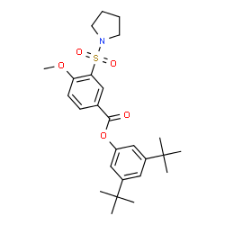 ChemSpider 2D Image | 3,5-Bis(2-methyl-2-propanyl)phenyl 4-methoxy-3-(1-pyrrolidinylsulfonyl)benzoate | C26H35NO5S