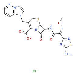 ChemSpider 2D Image | 1-{[(7R)-7-{[(2Z)-2-(5-Amino-1,2,4-thiadiazol-3-yl)-2-(methoxyimino)acetyl]amino}-2-carboxy-8-oxo-5-thia-1-azabicyclo[4.2.0]oct-2-en-3-yl]methyl}-1H-imidazo[1,2-b]pyridazin-4-ium chloride | C19H18ClN9O5S2