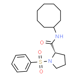 ChemSpider 2D Image | N-Cyclooctyl-1-(phenylsulfonyl)-L-prolinamide | C19H28N2O3S