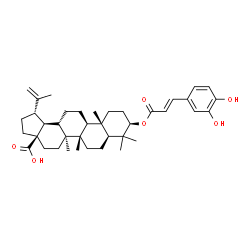 ChemSpider 2D Image | (3alpha,5beta,8alpha,9beta,10alpha,13alpha,14beta,17alpha,18beta,19beta)-3-{[(2E)-3-(3,4-Dihydroxyphenyl)-2-propenoyl]oxy}lup-20(29)-en-28-oic acid | C39H54O6