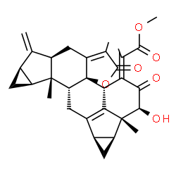 ChemSpider 2D Image | Methyl (2Z)-2-[(1aS,1bR,2S,4aS,4bR,8aR,9aR,10aS,10bR,10cR,11bR)-2-hydroxy-1b,7,10b-trimethyl-9-methylene-3,6-dioxo-1a,1b,2,3,4a,6,8,8a,9,9a,10,10a,10b,10c,11,11b-hexadecahydrocyclopropa[4,5]cyclopropa
[4',5']cyclopenta[1',2':7,8]acephenanthryleno[10a,10-b]furan-4(1H)-ylidene]propanoate | C31H34O6