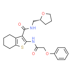 ChemSpider 2D Image | 2-[(Phenoxyacetyl)amino]-N-[(2R)-tetrahydro-2-furanylmethyl]-4,5,6,7-tetrahydro-1-benzothiophene-3-carboxamide | C22H26N2O4S