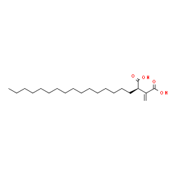 ChemSpider 2D Image | (2R)-2-Hexadecyl-3-methylenesuccinic acid | C21H38O4