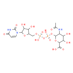 ChemSpider 2D Image | 5-Acetamido-6-{[{[{[5-(2,4-dioxo-3,4-dihydro-1(2H)-pyrimidinyl)-3,4-dihydroxytetrahydro-2-furanyl]methoxy}(hydroxy)phosphoryl]oxy}(hydroxy)phosphoryl]oxy}-3,4-dihydroxytetrahydro-2H-pyran-2-carboxylic
 acid | C17H25N3O18P2