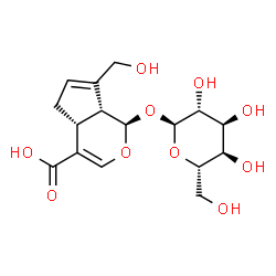 ChemSpider 2D Image | (1R,4aR,7aR)-1-(alpha-L-Altropyranosyloxy)-7-(hydroxymethyl)-1,4a,5,7a-tetrahydrocyclopenta[c]pyran-4-carboxylic acid | C16H22O10