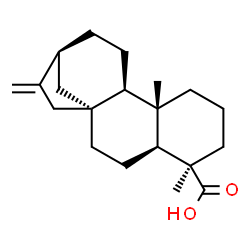 ChemSpider 2D Image | (5beta,9beta,10alpha)-Kaur-16-en-18-oic acid | C20H30O2