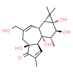 ChemSpider 2D Image | (1aR,1bR,4aS,7aR,7bR,8S,9S,9aR)-4a,7b,9,9a-Tetrahydroxy-3-(hydroxymethyl)-1,1,6,8-tetramethyl-1,1a,1b,4,4a,7a,7b,8,9,9a-decahydro-5H-cyclopropa[3,4]benzo[1,2-e]azulen-5-one | C20H28O6