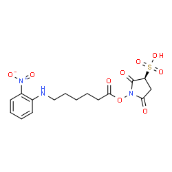ChemSpider 2D Image | (3S)-1-({6-[(2-Nitrophenyl)amino]hexanoyl}oxy)-2,5-dioxo-3-pyrrolidinesulfonic acid | C16H19N3O9S